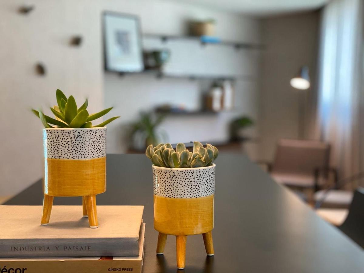 Radisson Oscar Freire Hotel Sao Paulo Exterior photo Succulents in a home